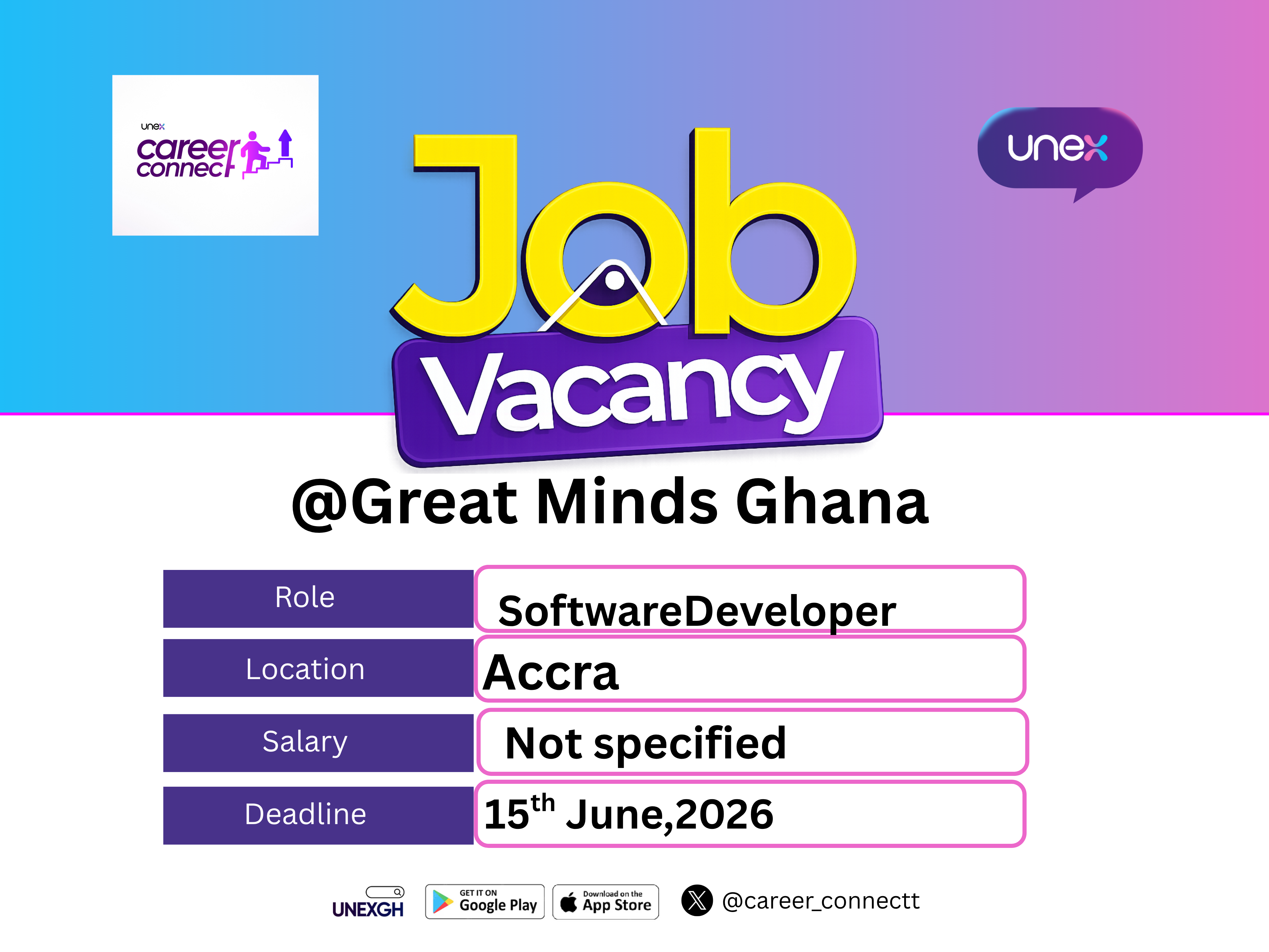 Software developer