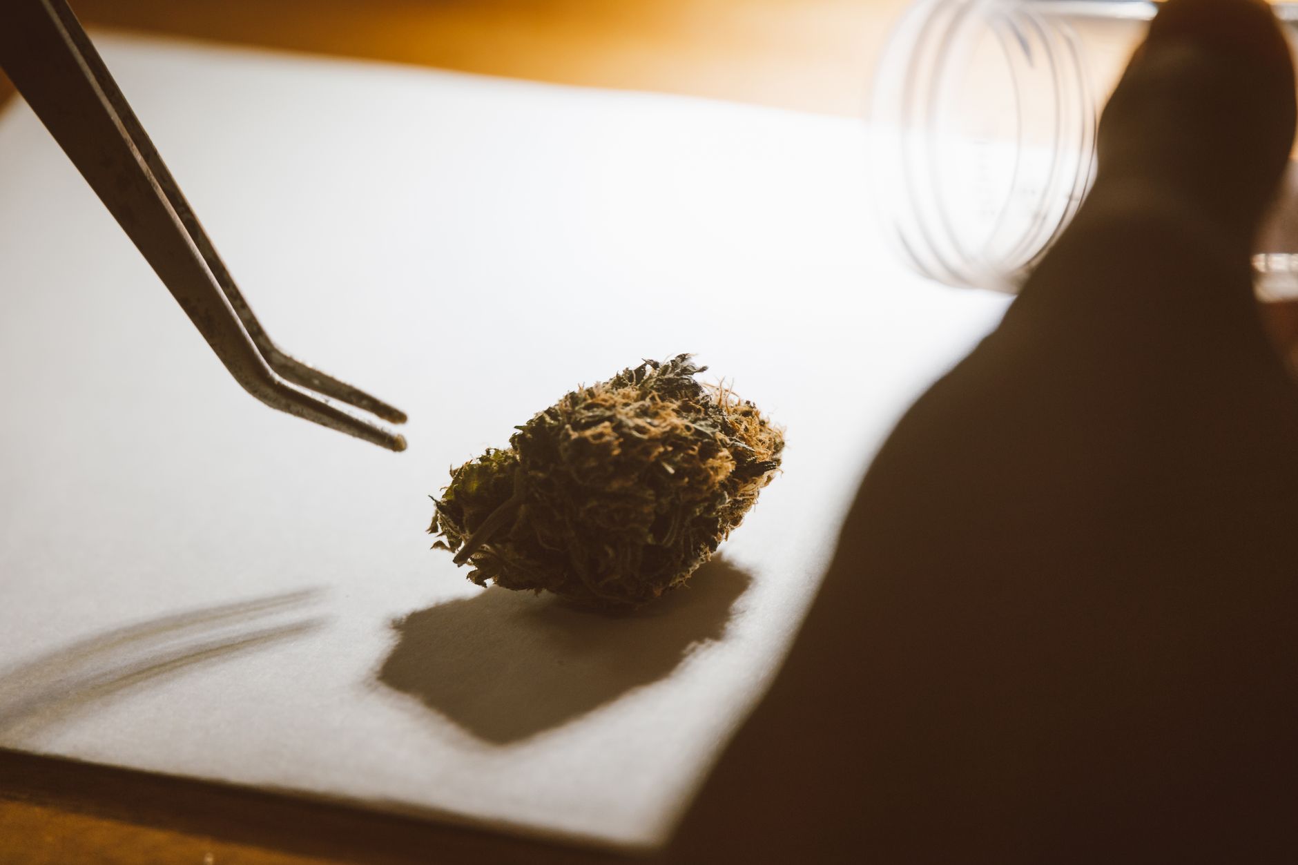 How to get a medical marijuanas card in South Carolina online