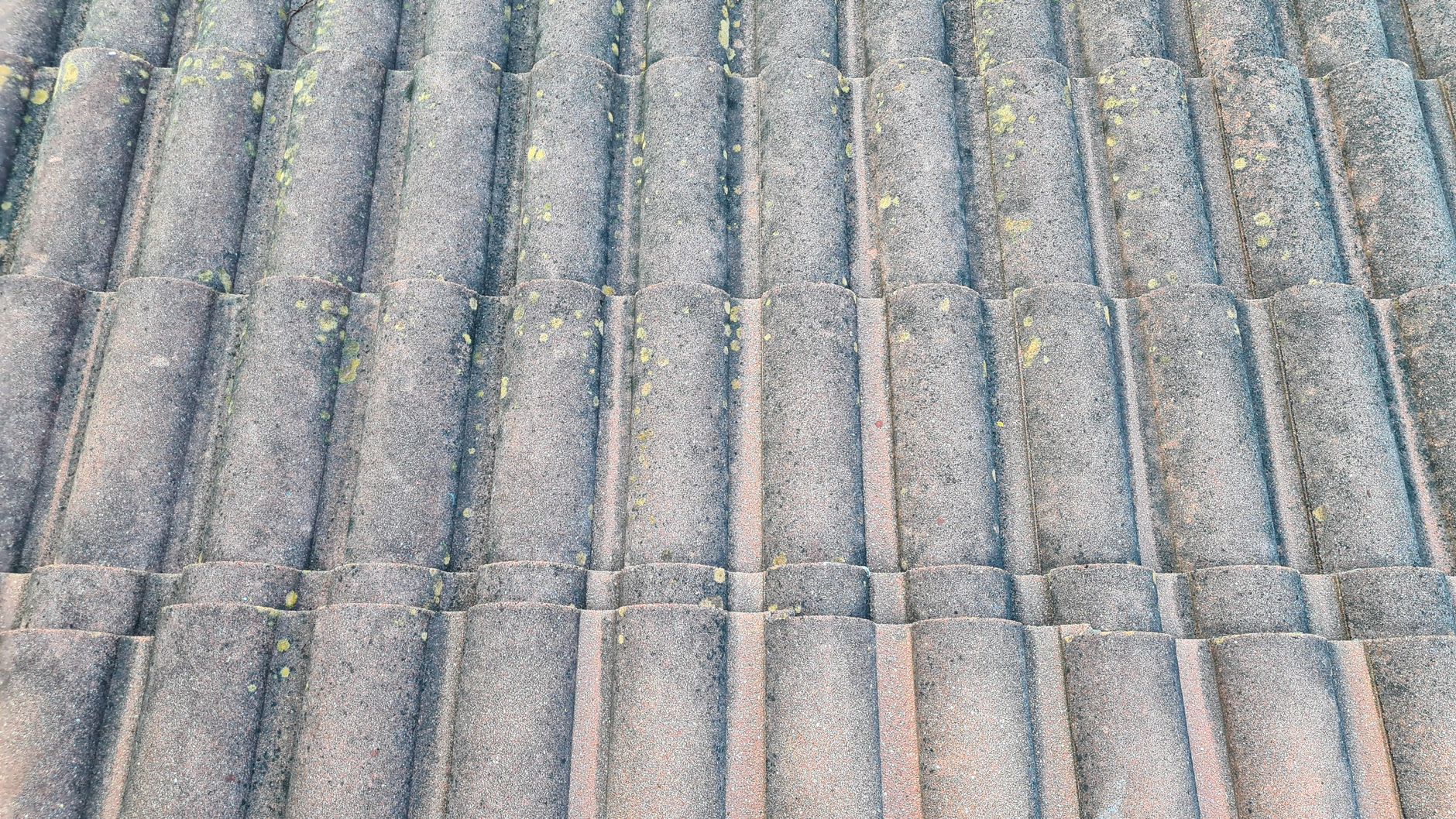 Protect and Restore Your Roof with Aaron’s Roof Cleaning in Nottingham