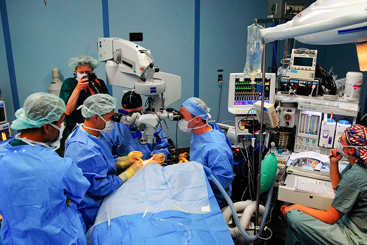 The Role of Endodontic Microsurgery in Root Canal Therapy
