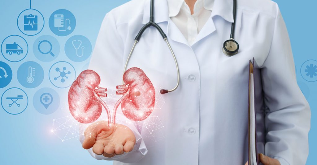 How Nephrologists Support Patients Through The Dialysis Journey
