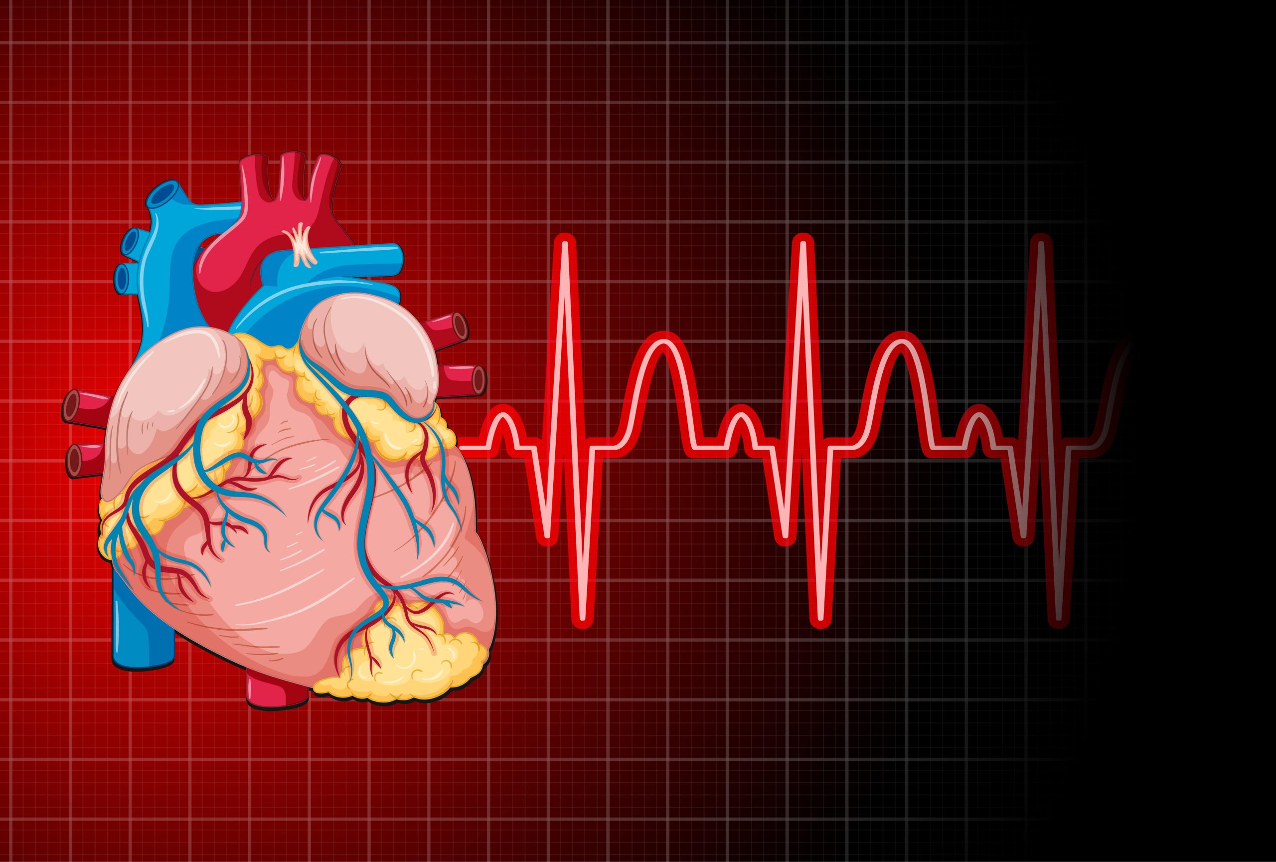 The Role Of AI and Robotics In Modern Cardiology