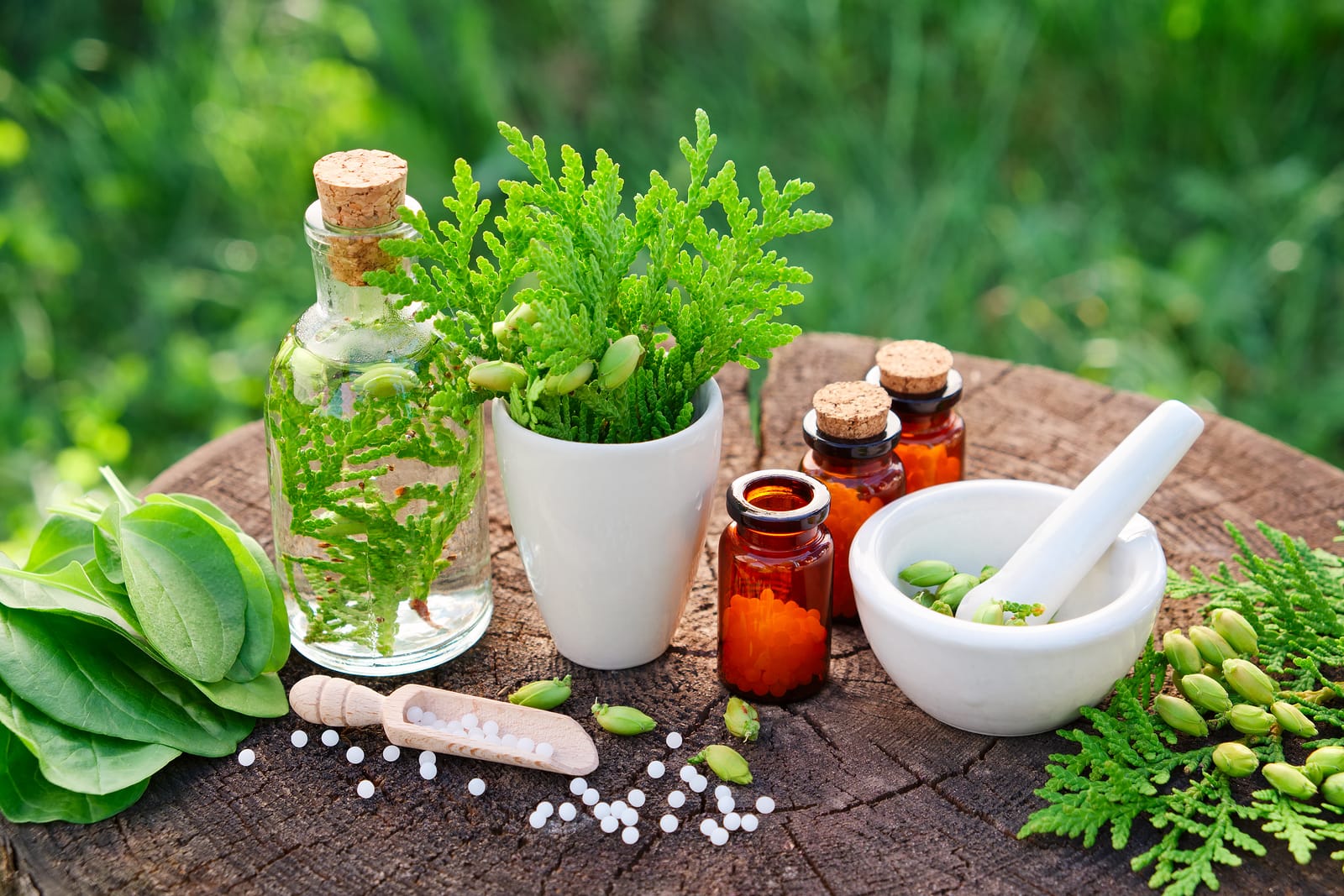 Five Essential Therapies Every Holistic Medicine Specialist Should Know