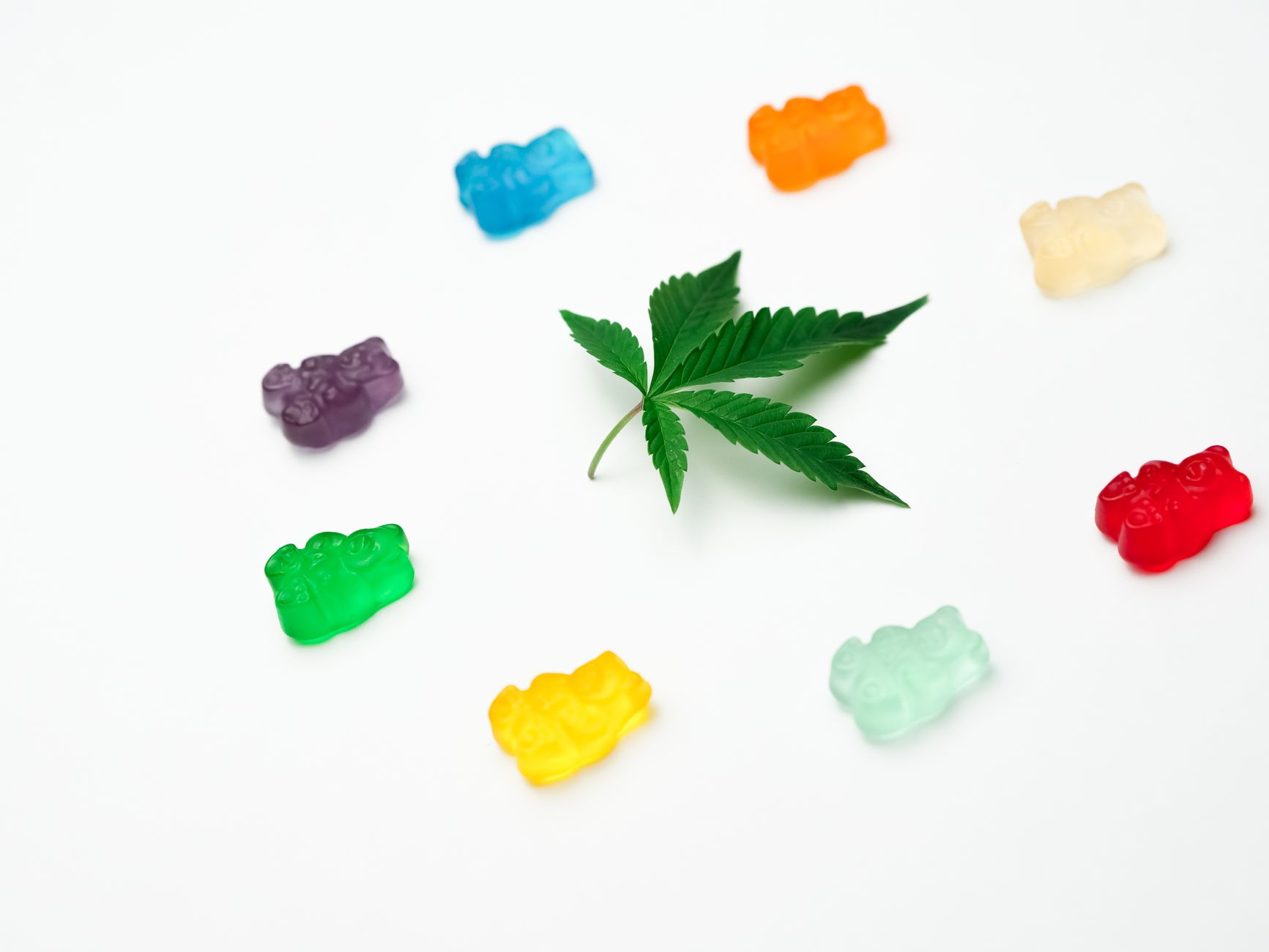 CBN Gummies Guide: How to Get Started with CBN