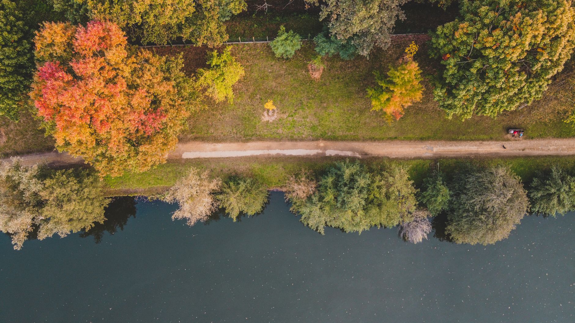 Top 5 Reasons To Aerate Your Lake in the Fall