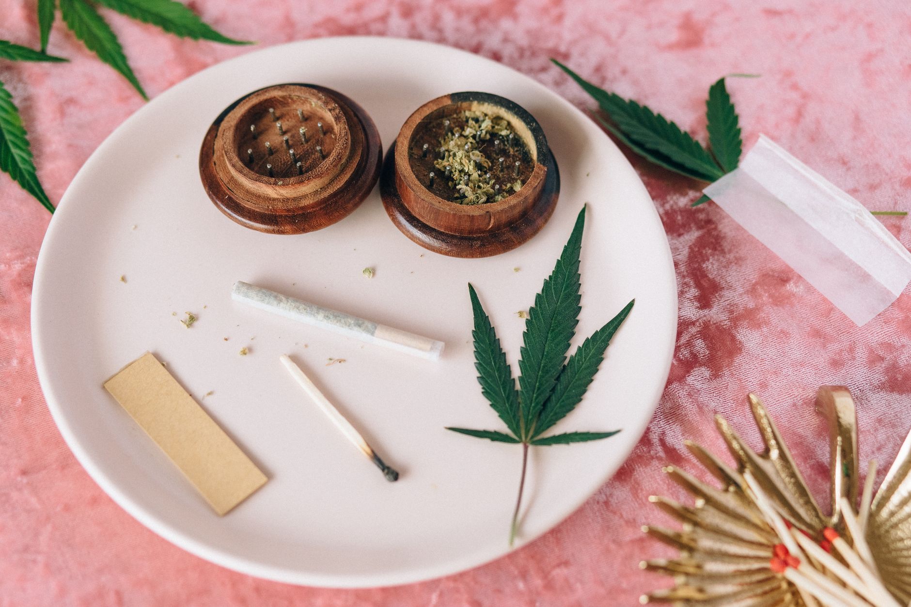 Benefits of Hemp Seeds With High CBD