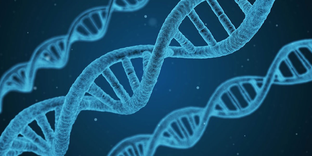 Purpose of the Asian Chemical Biology Conference: Bridging Chemistry and Biology