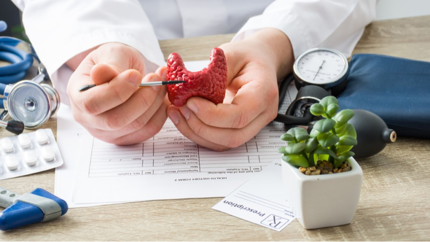 How Endocrinology And Metabolism Specialists Aid In Understanding Human Growth And Development