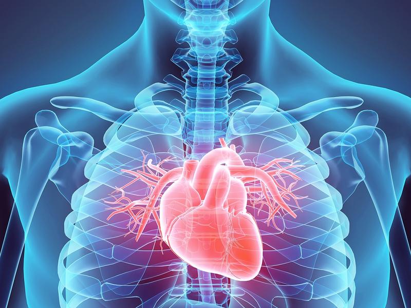 Preventative Cardiology: A proactive approach