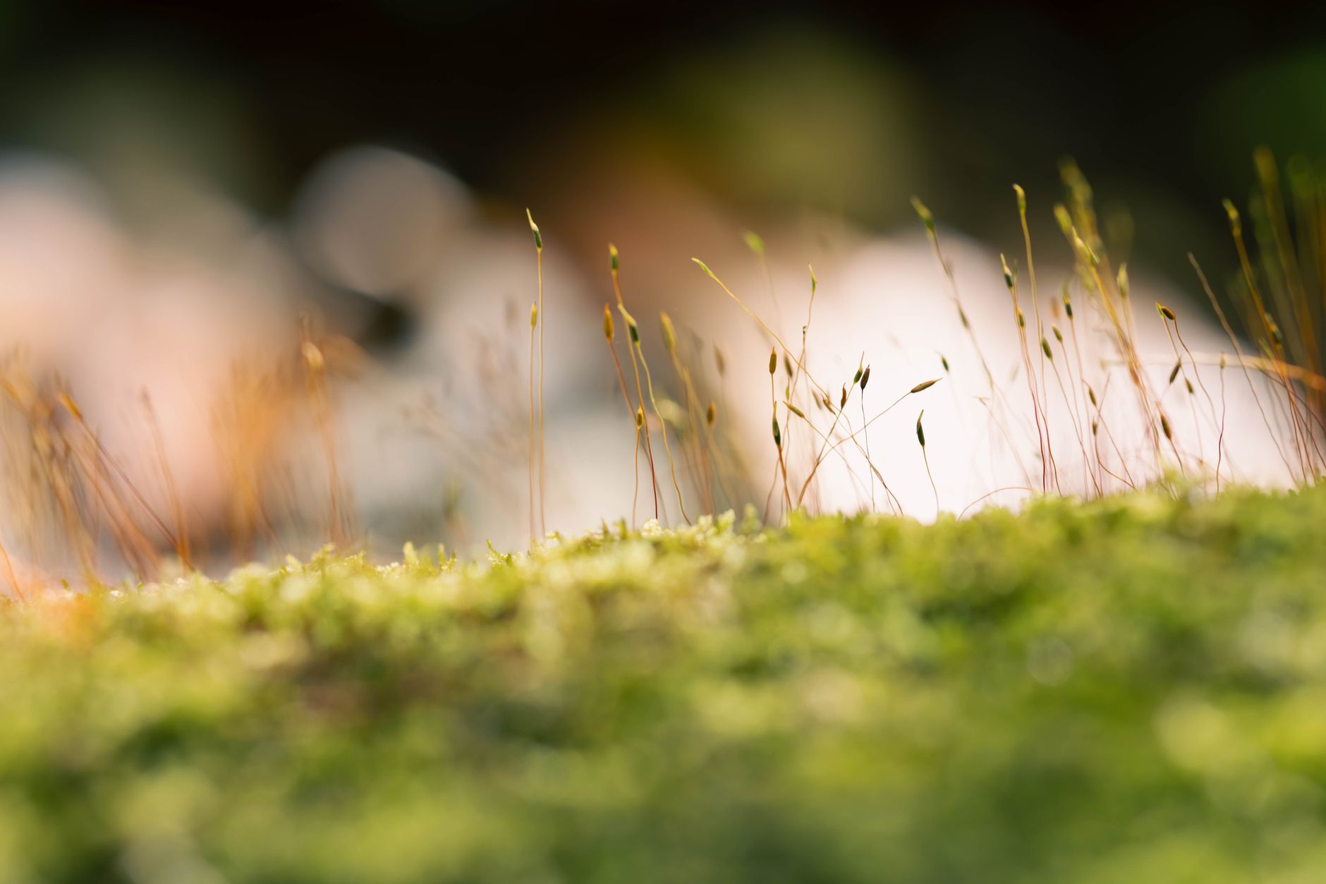 The Evolving Landscape Of Infertility Treatments: A Specialist’s Perspective