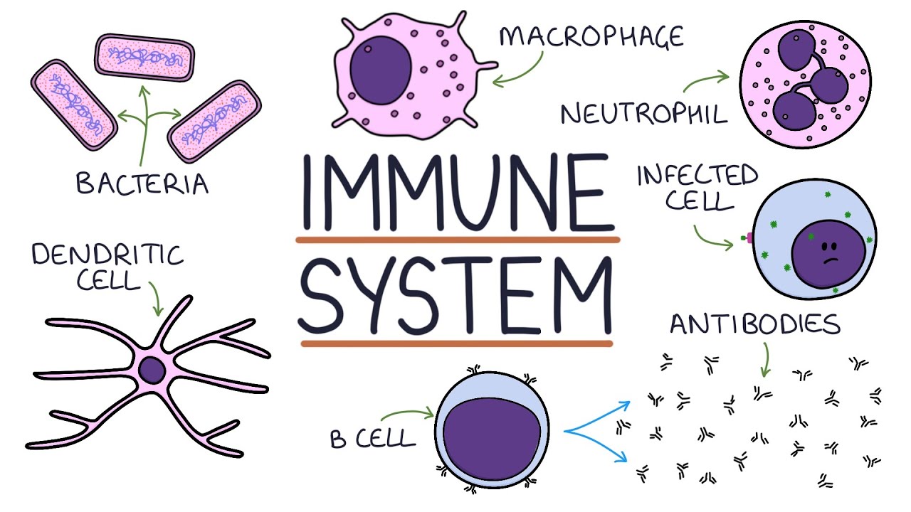Boosting Your Immune System: Tips from a Wellness Clinic