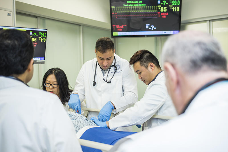 Understanding the Role of a General Practitioner in Healthcare