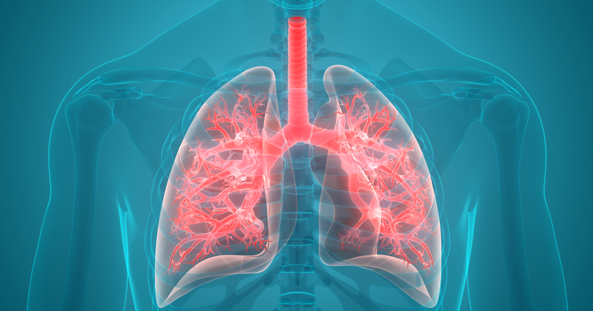 Top Tips for Maintaining Healthy Lungs