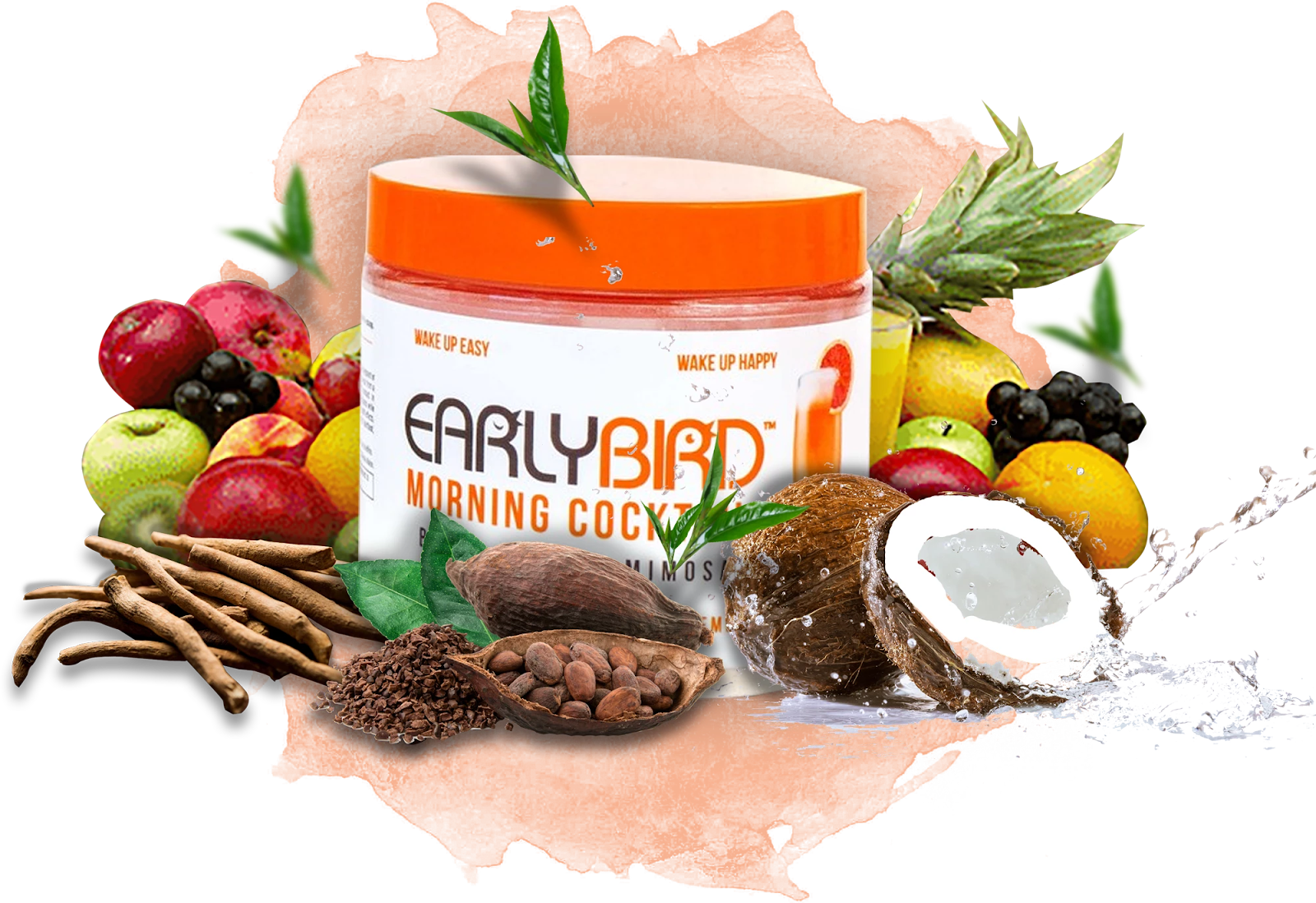 What Do You Need to Know Before Taking EarlyBird Morning Cocktail