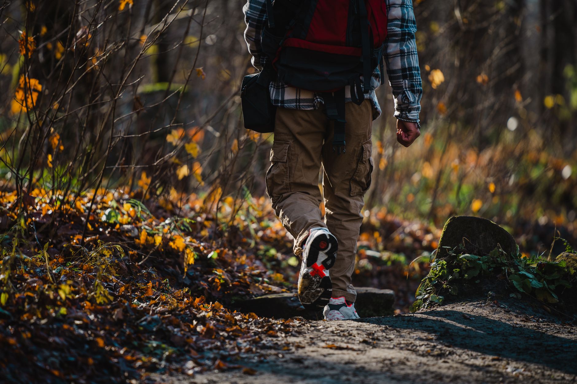 Staying Safe on Your Next Hike