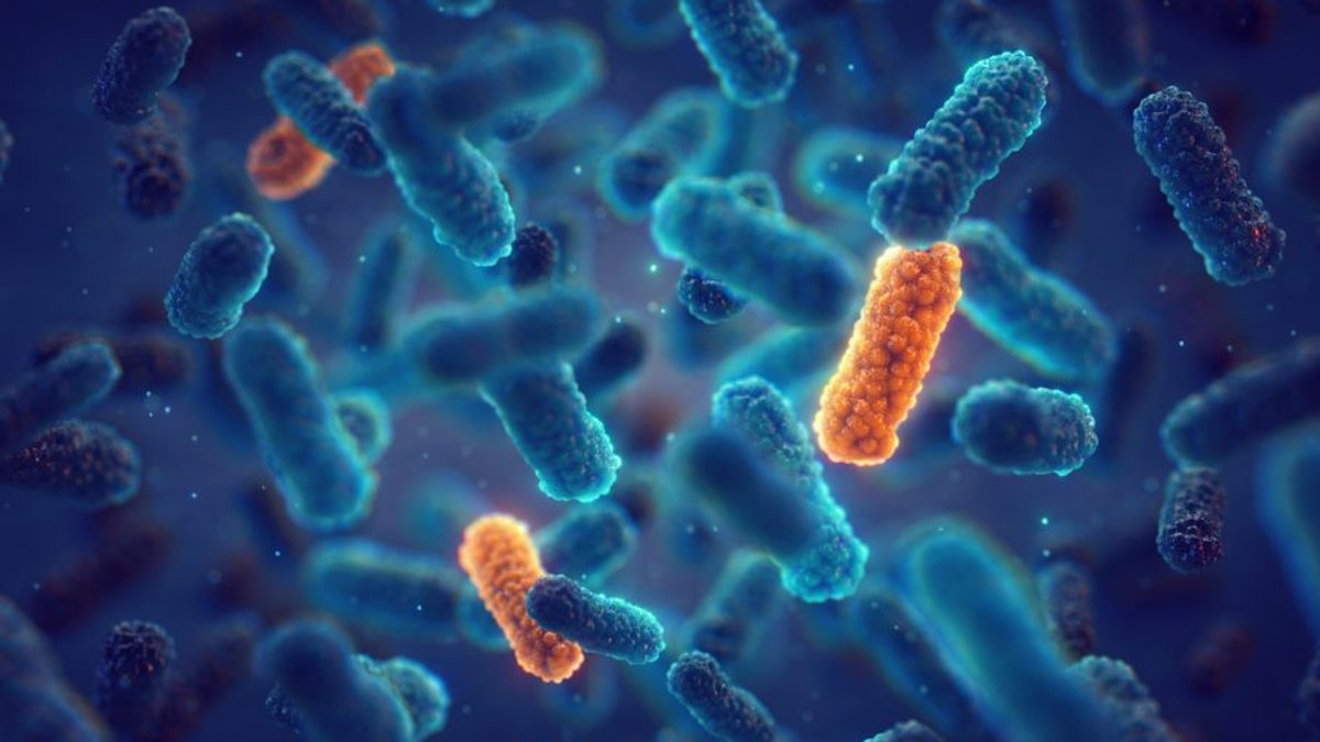 Europe faces growing antibiotic resistance crisis