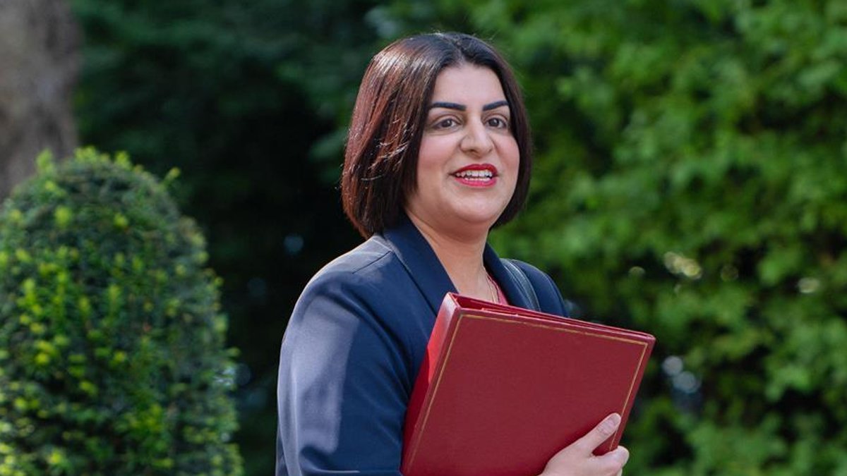 Public to decide asylum seeker appeals - asylum appeals
