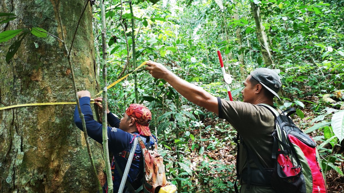Businesses take note of carbon credits rise - carbon credits