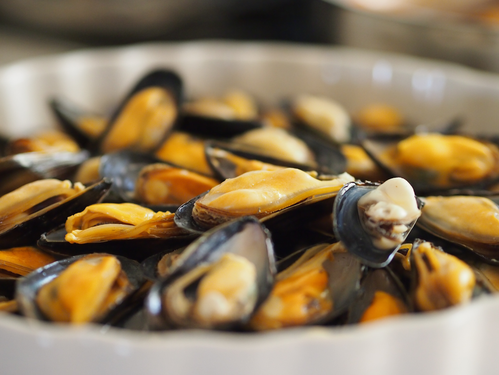 Shellfish Showdown: Clams, Cockles, Mussels, and Scallops Explained