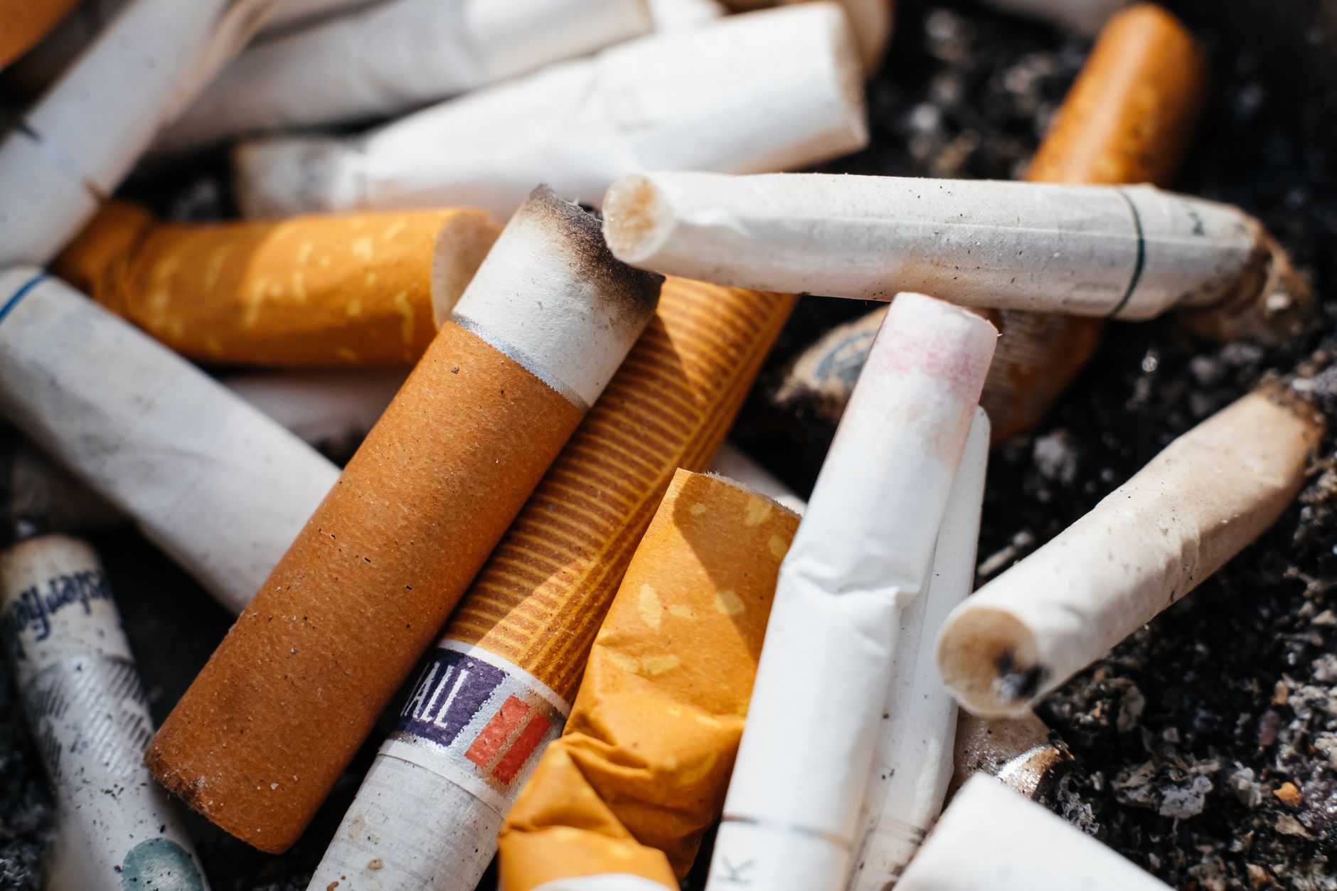 IMPACT OF DRUG ABUSE ON BODY ORGANS