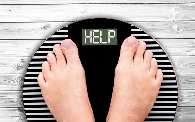 What do you need to lose weight properly?