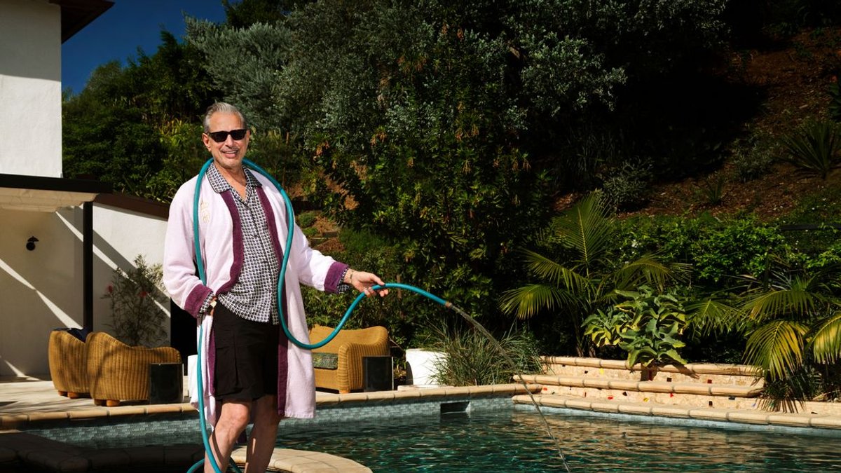 Jeff Goldblum designs quirky Hollywood guesthouse Jeff Goldblum designs quirky Hollywood guesthouse - guesthouse renovation