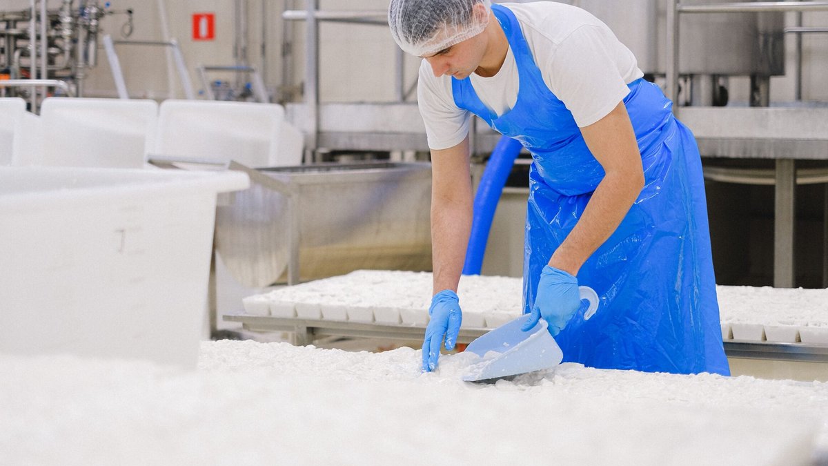 Dairy plants shift to closed systems for safety - closed system dairy