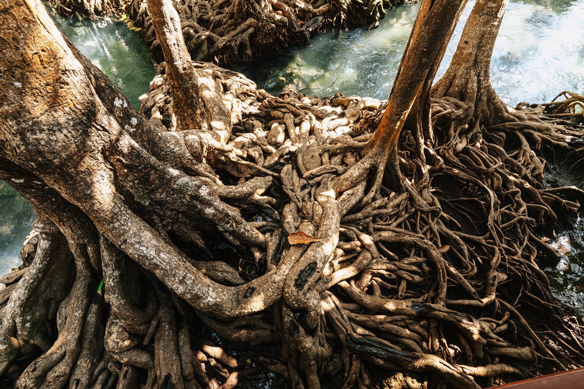 How to Know When Your Root, Sacral or Solar Plexus Chakra Are Out of Balance