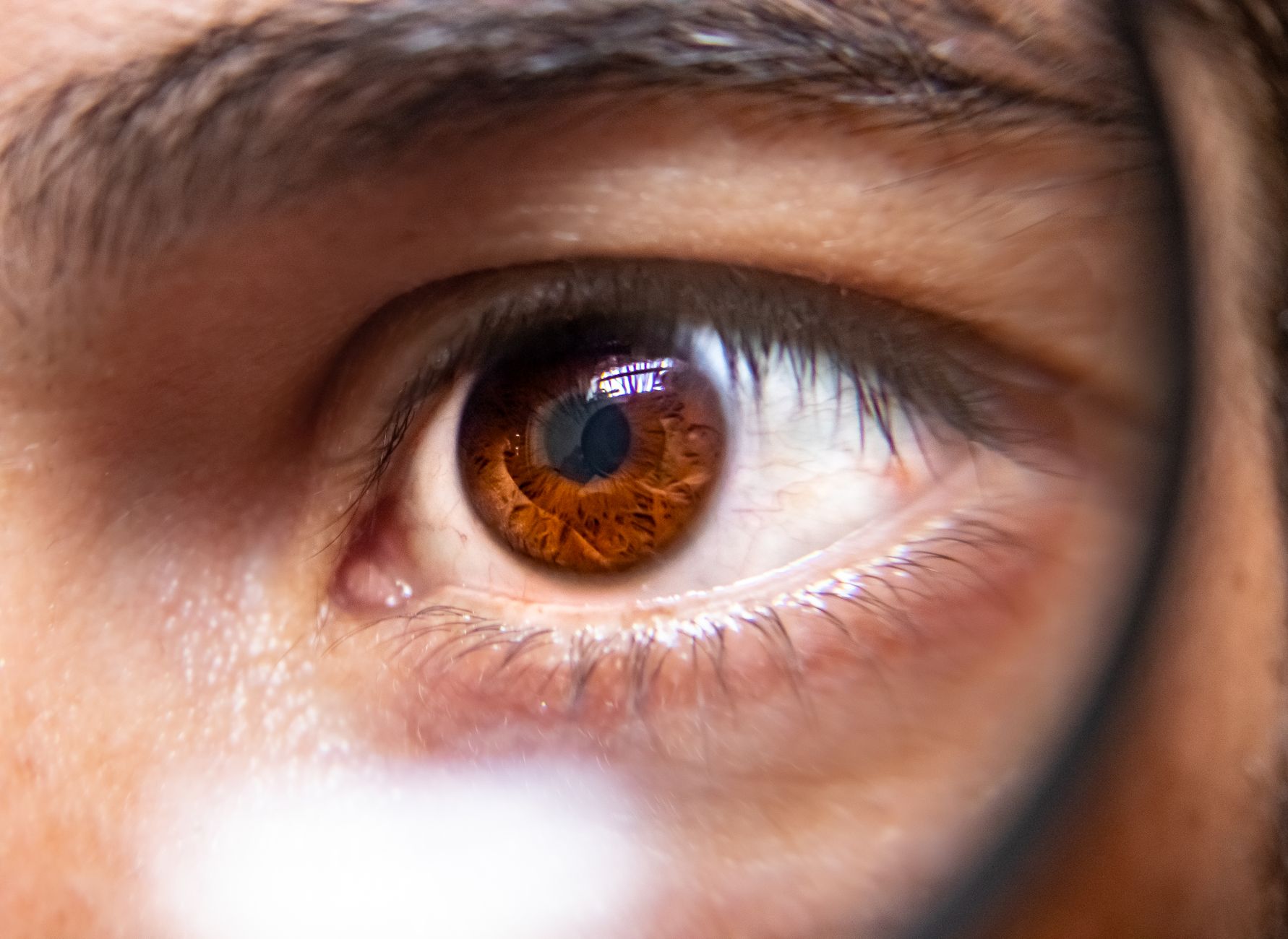 Eyesight Evolution: Discovering Cutting-Edge Solutions in Eye Health Assessments