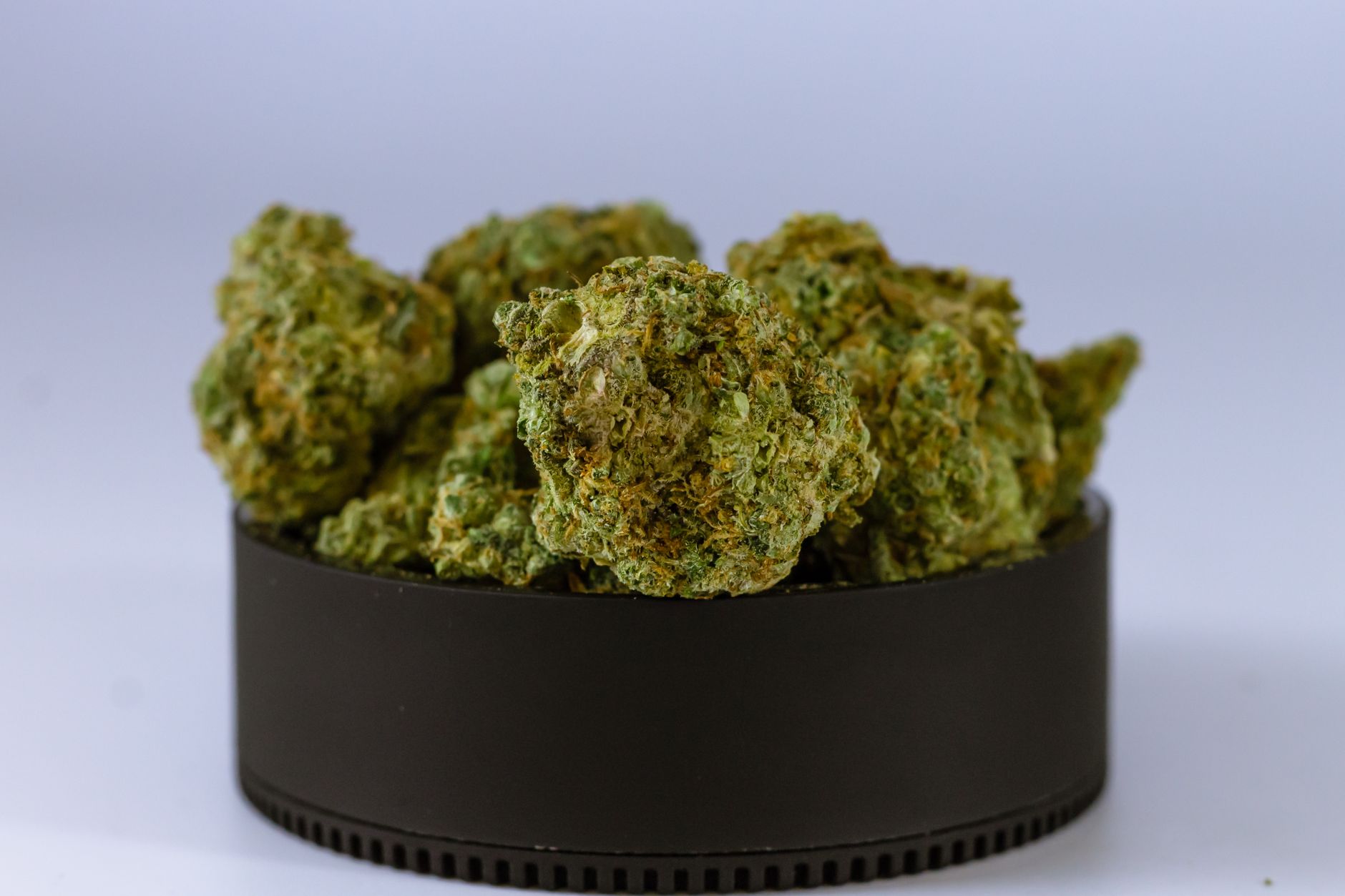 The Smart Trick of jungle boys dispensary oc That Nobody is Discussing