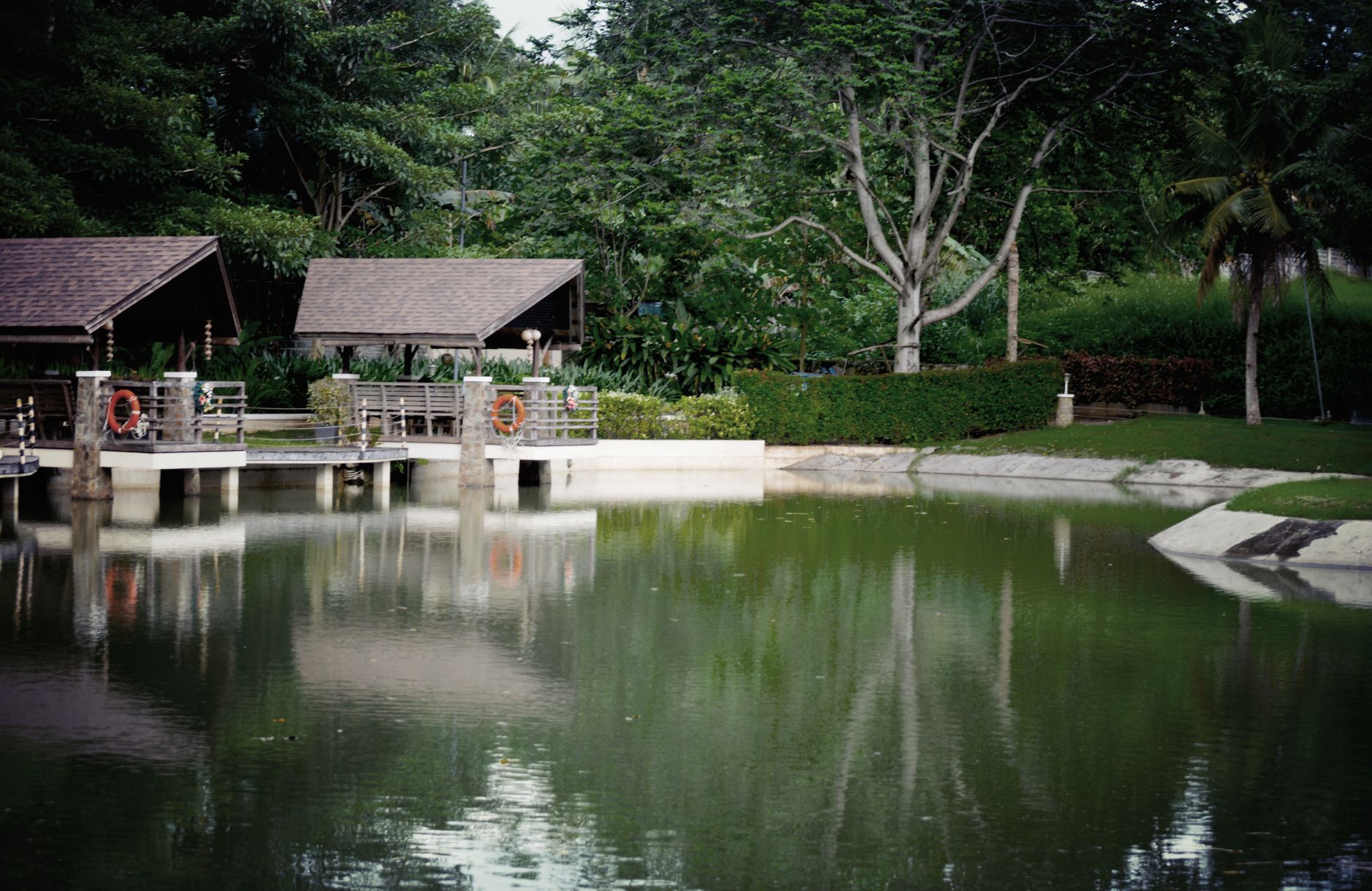 HOW TO REDUCE GREEN WATER IN YOUR POND?