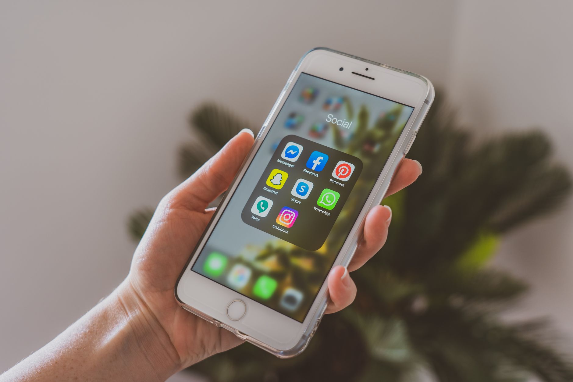 Instagram shoutout service