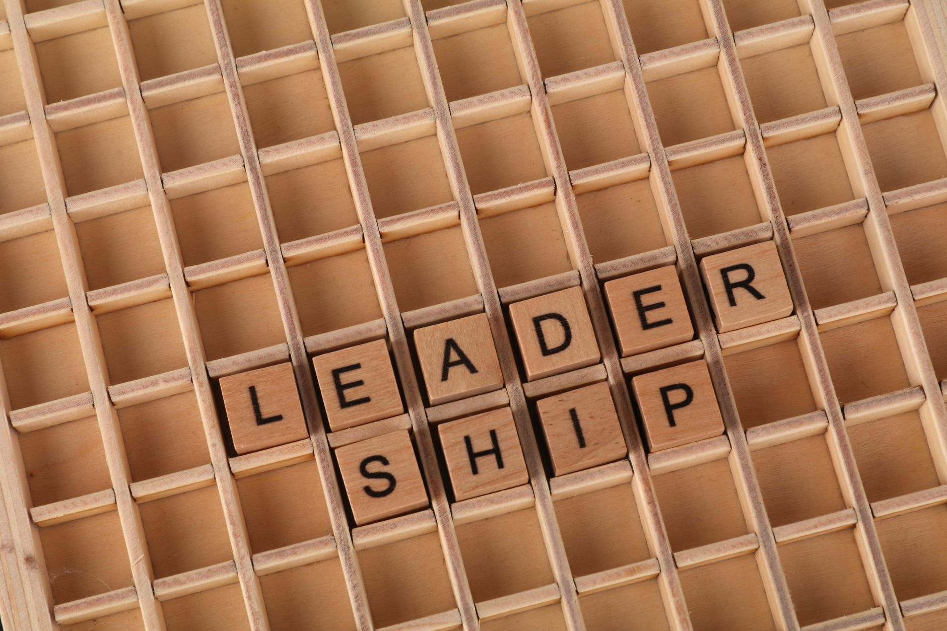 Understanding the Role of Emotional Intelligence in Business