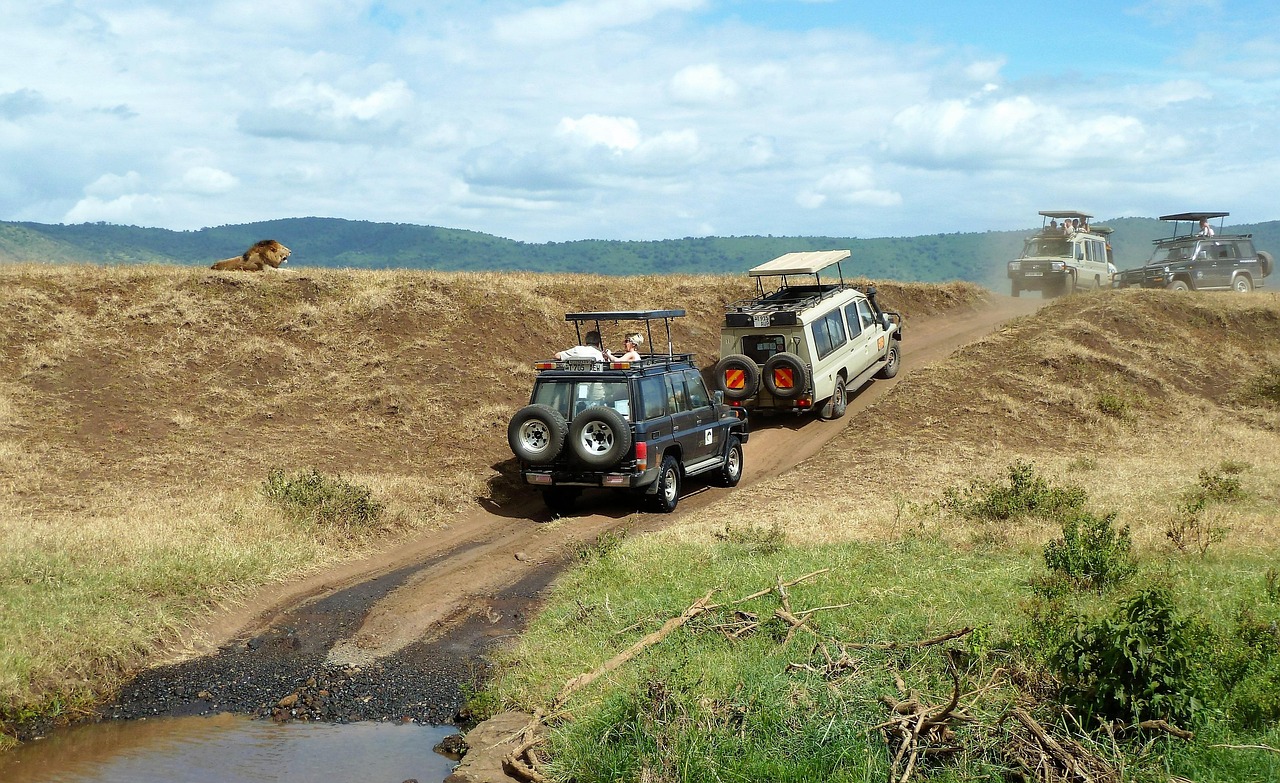 Jeep urges 1 million owners to park outside