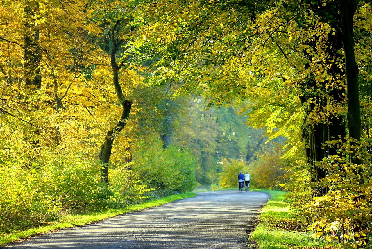 The best ways to prepare your lawn for autumn