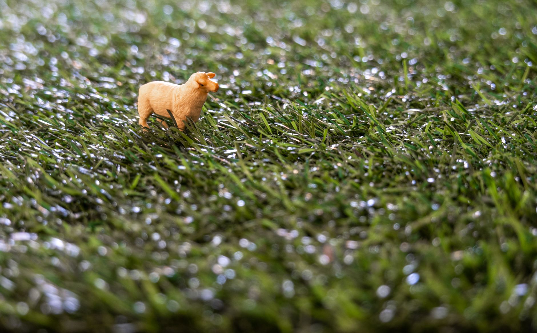 Step-by-Step Installation Guide for Artificial Grass: DIY or Hire a Pro?