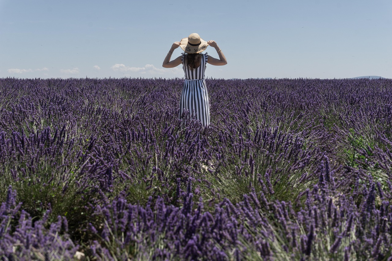 Here Are Wineries for Sale in Provence