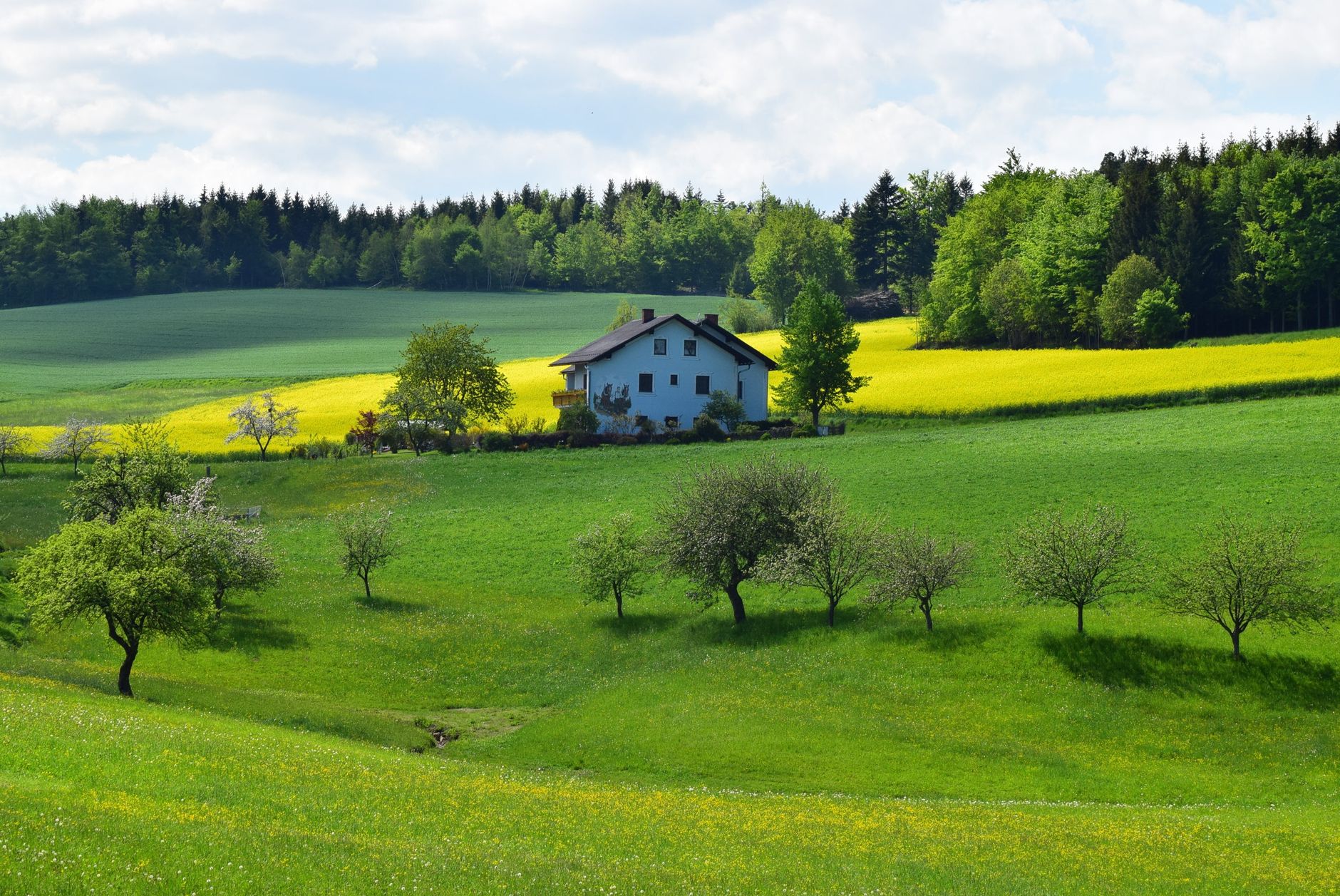 Why Insurance For Our Houses Are A Natural Choice