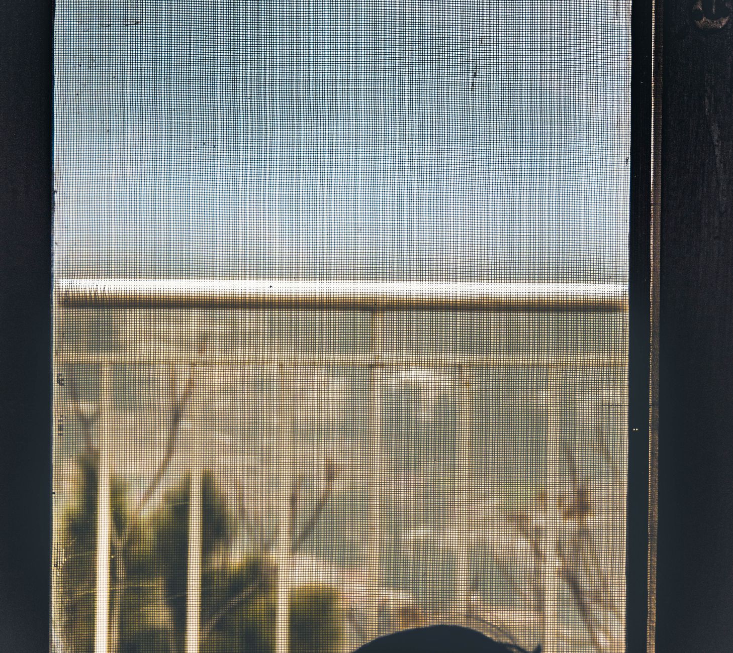 Beyond the Mesh: Critical Signs Your Window Screens Need Immediate Repair
