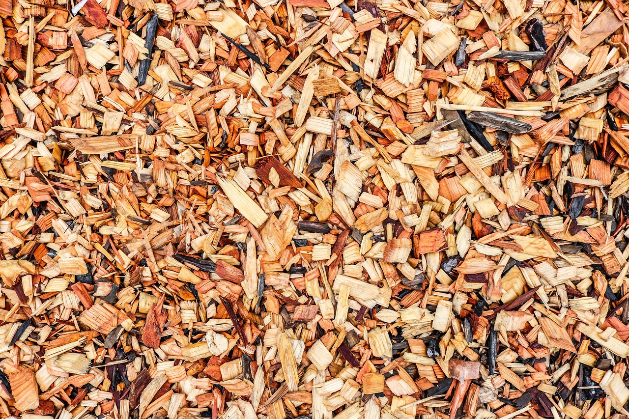 Garden Mulch Guide: What to Use and Why It Matters