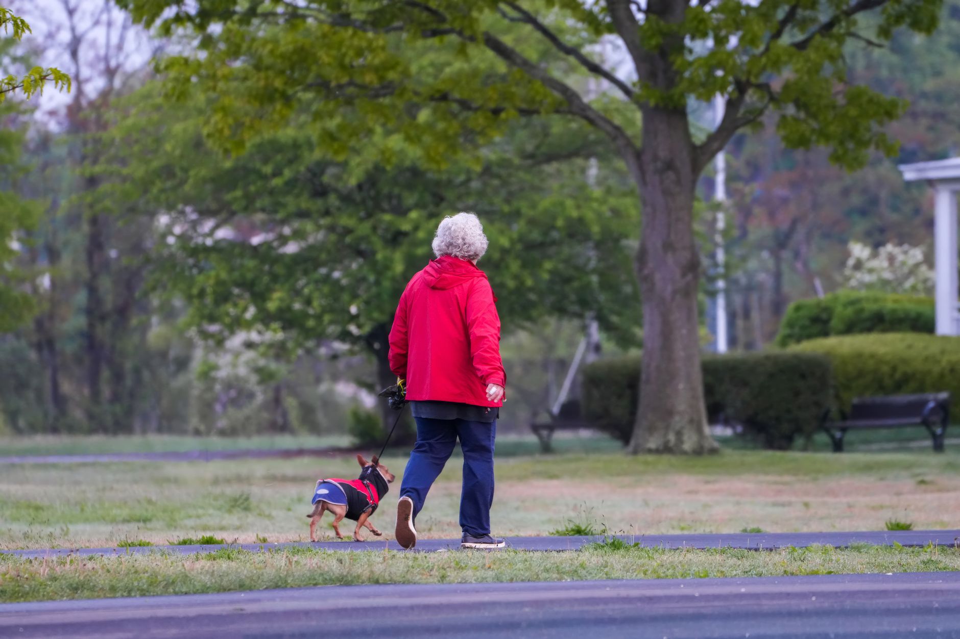 How to Create a Daily Exercise Routine for Your Pet