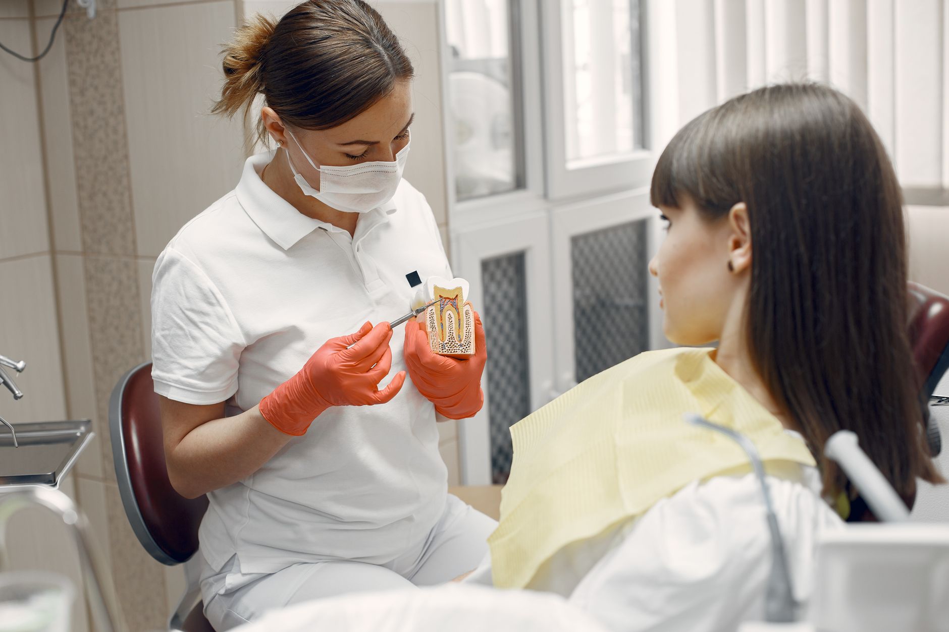 Endodontics and Internal Tooth Awareness in Everyday Dental Understanding