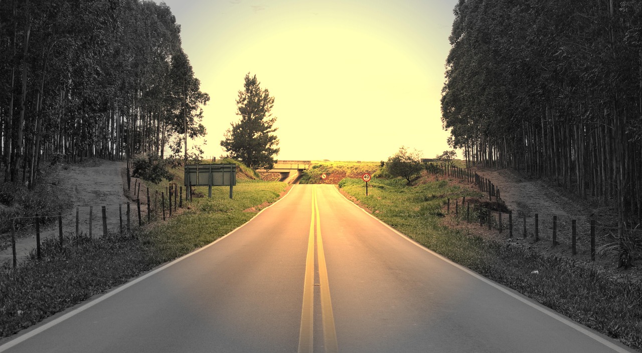 Why Choosing the Right Asphalt Paving Company Makes All the Difference for Your Driveway