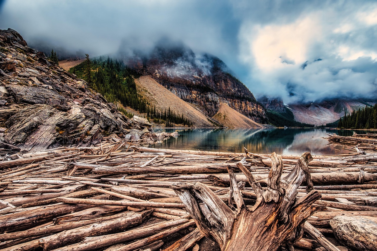 Buying Custom Log Cabin Kits in Canada and United States