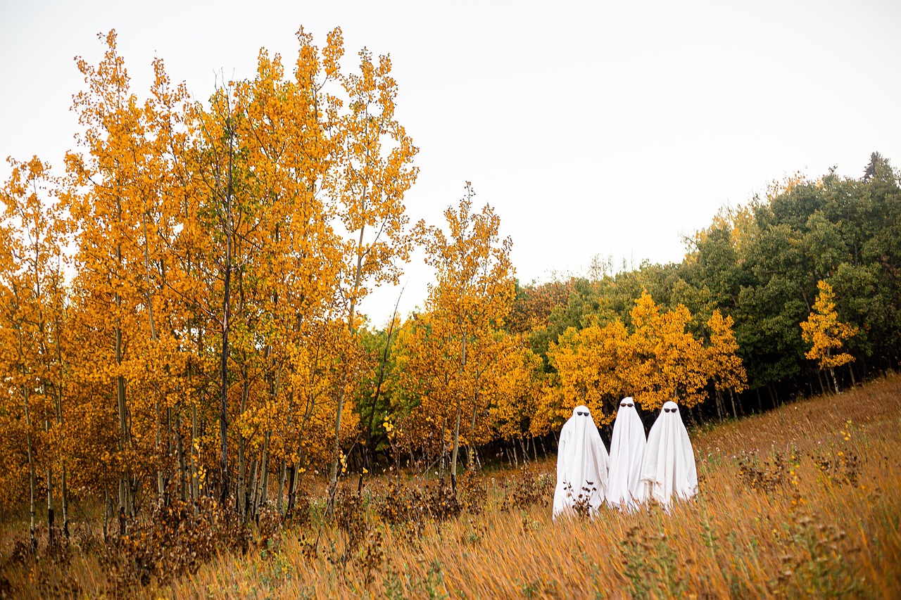 Perfect Home Improvement Tips, Tricks, And Treats
