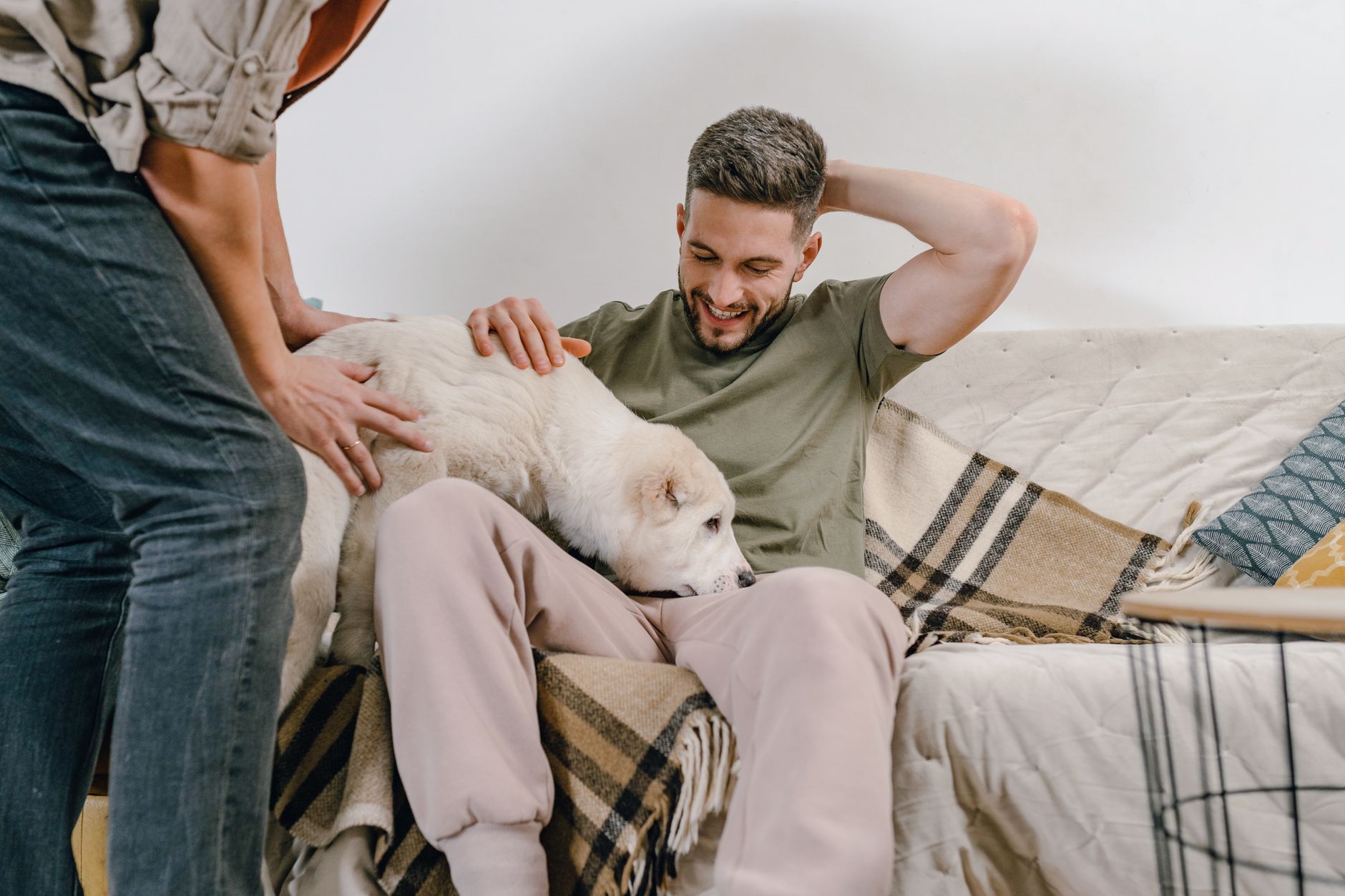 Why You Should Choose A Pet-Friendly Apartment