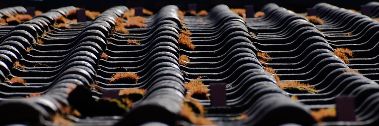 What Homeowners Should Know Before Hiring Roofing Companies in Marlborough