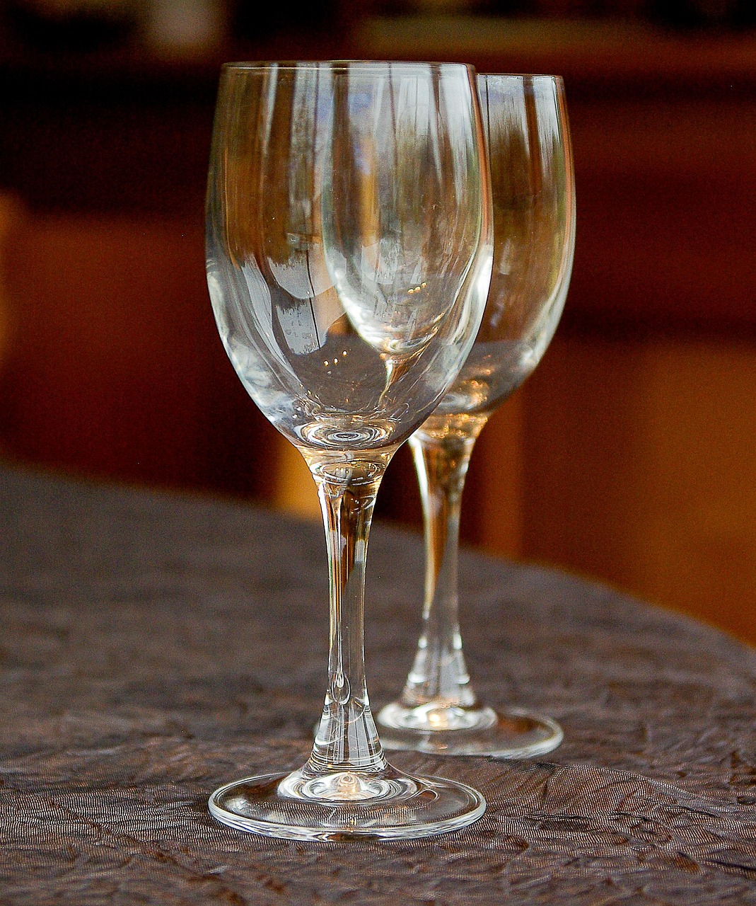 Top 5 Wine Tasting Tips for Beginners
