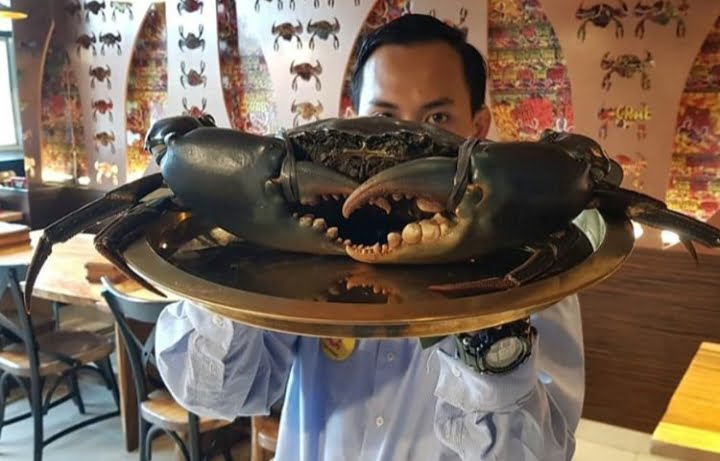 Discover Exceptional Seafood Dining at Cut The Crab