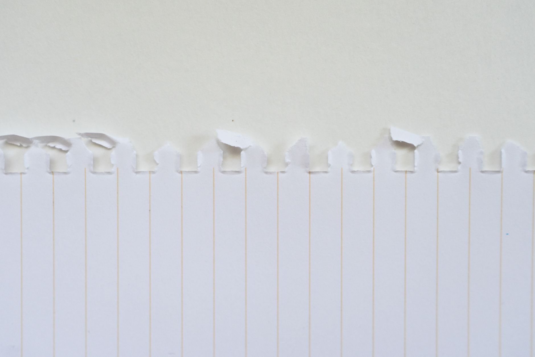 The Sections of an UK CV